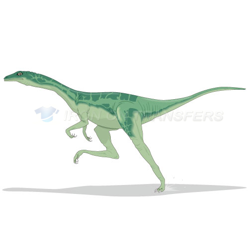 Dinosaur Iron-on Stickers (Heat Transfers)NO.8783